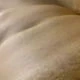 SluttgayyPorto