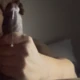Evari29