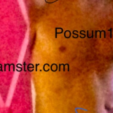 Possum187