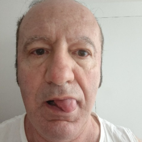 Piggypornslave
