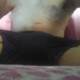 slcpnptravs