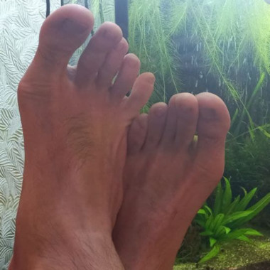 RendyJoe