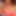 Pornstache-
