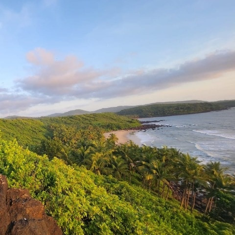 Harddickfreefuntextm