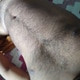 Sexgm1234