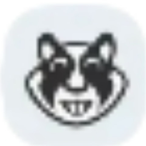 VaryingPear43
