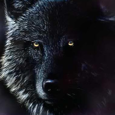 Loneblackwolf