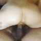 Attalea