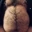 jimbear610