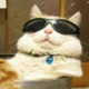Anderson_globerson