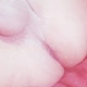 HotPenis17