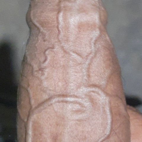 SpiritedLens8