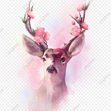 DeerFlower