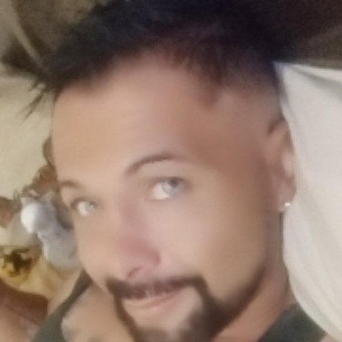 Solvet666