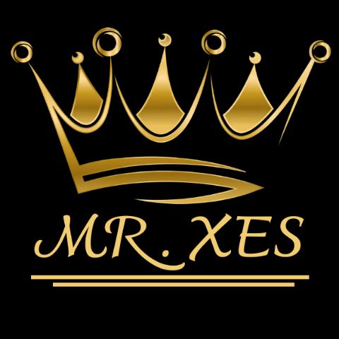 Mr_XES