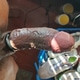 youratemycock