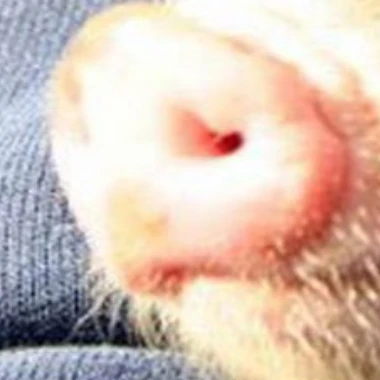 Xhamster profile picture for @kimi