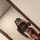 melanyfoxxy