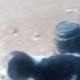 Tawa_123456