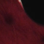 BruceWayne_86