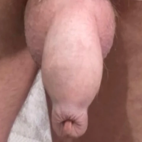 Uncut Lounger