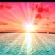 PleadingHardcopy1