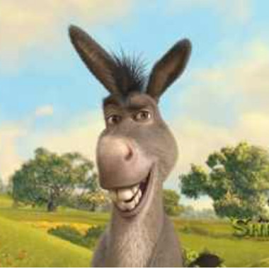 wisedonkey