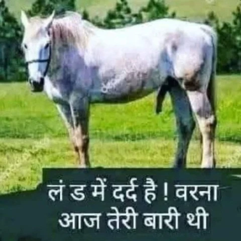 Faridabadrana