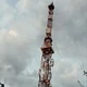 stupidgay