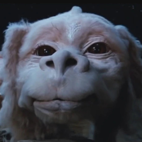 Falkor74