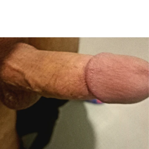 Hasbin455