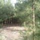 sanju381