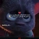 HaseebGoody