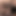 Dogsex12336