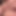 intobeef