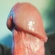 Saschi2
