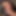Tinytana