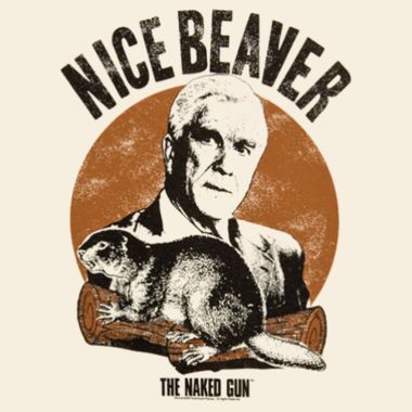 nice_beaver