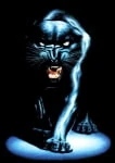 Xhamster profile picture for @maurizio