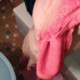 Steifer_Penis33