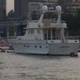 rassi662