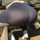 alexandre2596