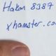 hakan8387