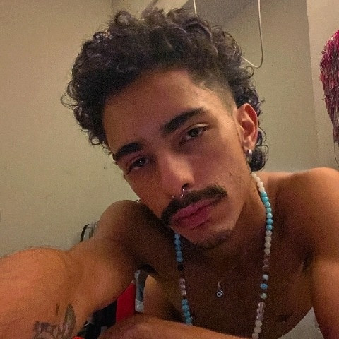 theviciousgabe