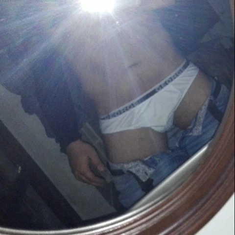 italianbull1