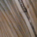 poohrader29