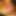 curiousman55
