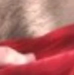 Xhamster profile picture for @josif85