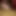 nikkitrans55