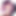 Hentai_VR